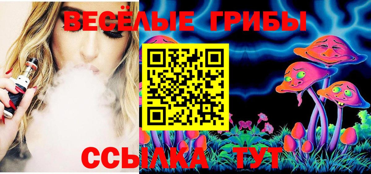 Ижевск  как найти   Псилоцибиновые грибы Cubensis  Вход с VPN  Псилоцибиновые грибы Psilocybe 