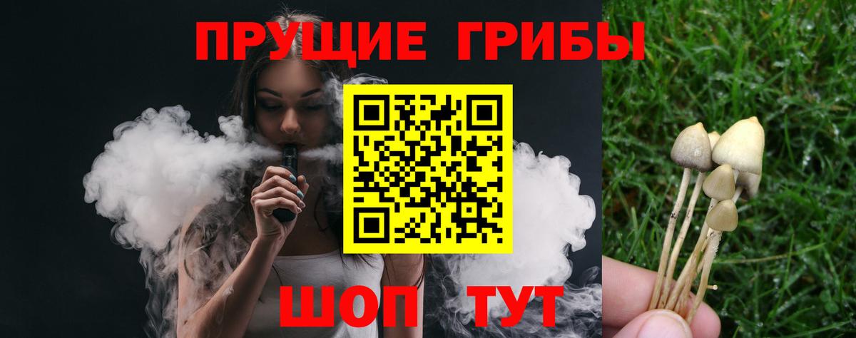 Псилоцибиновые грибы Cubensis Ижевск